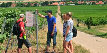 Rad & Wandern
